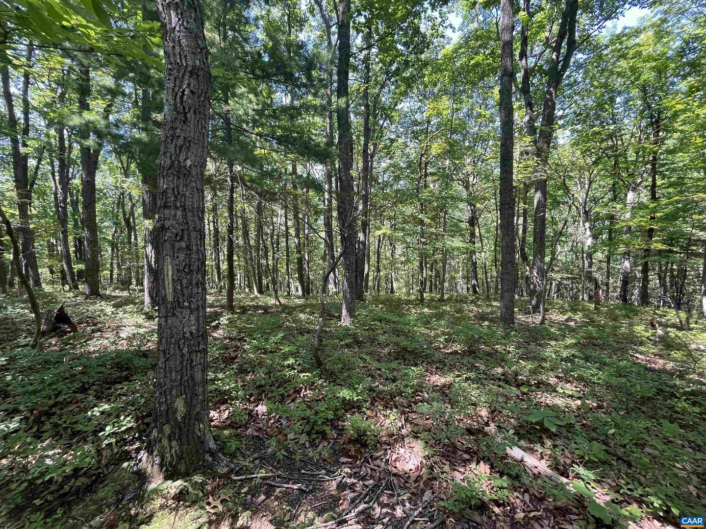 TBD GLASS MOUNTAIN LN, AFTON, Virginia 22920, ,Land,For sale,TBD GLASS MOUNTAIN LN,657519 MLS # 657519