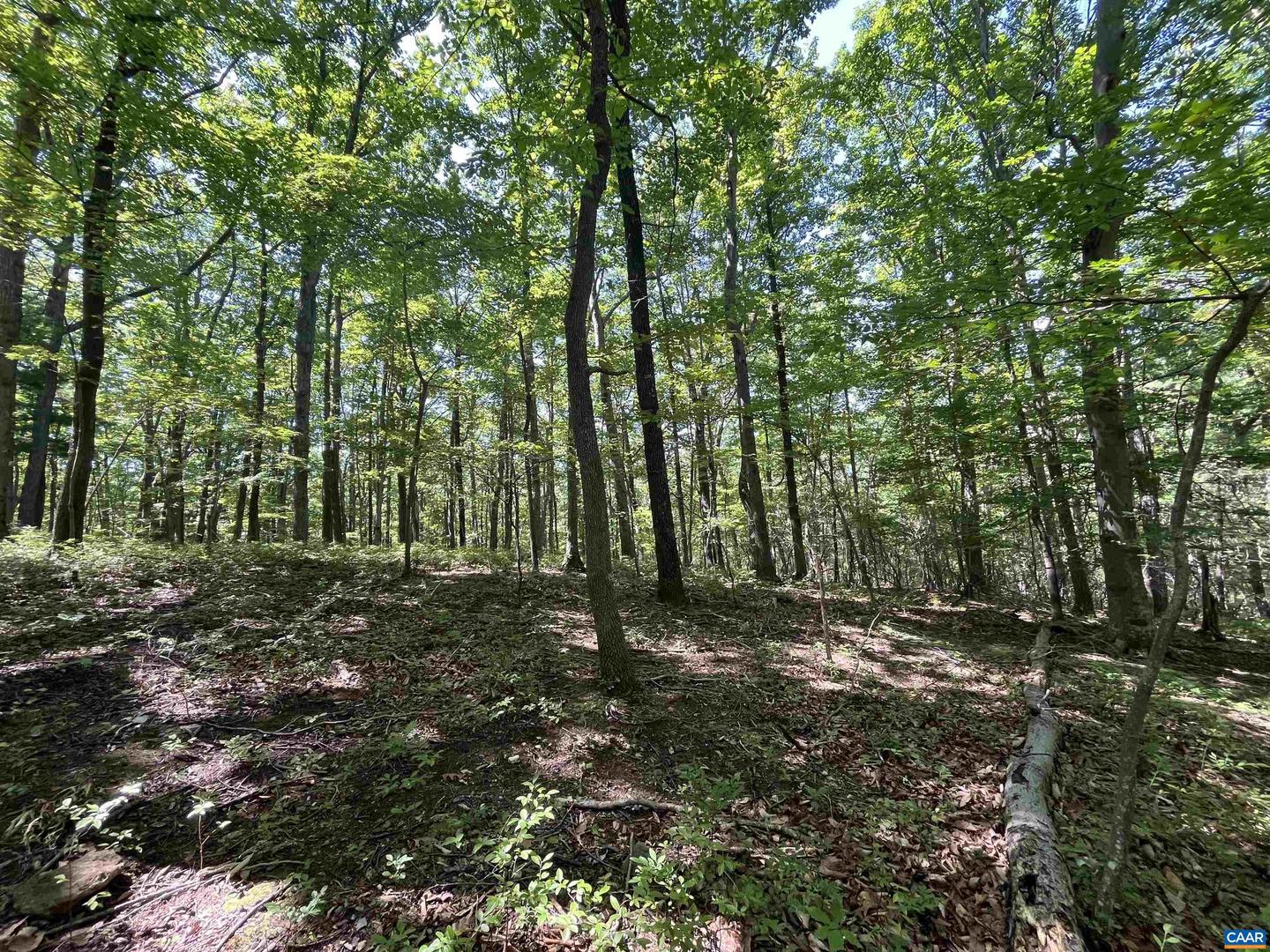 TBD GLASS MOUNTAIN LN, AFTON, Virginia 22920, ,Land,For sale,TBD GLASS MOUNTAIN LN,657519 MLS # 657519