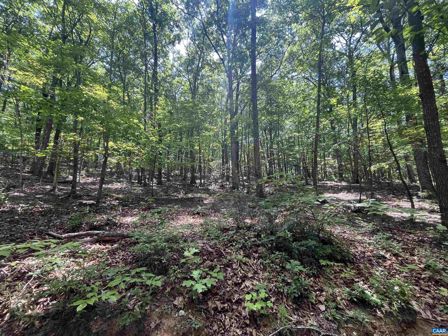 TBD GLASS MOUNTAIN LN, AFTON, Virginia 22920, ,Land,For sale,TBD GLASS MOUNTAIN LN,657519 MLS # 657519