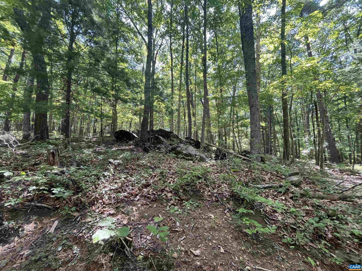 TBD GLASS MOUNTAIN LN, AFTON, Virginia 22920, ,Land,For sale,TBD GLASS MOUNTAIN LN,657519 MLS # 657519