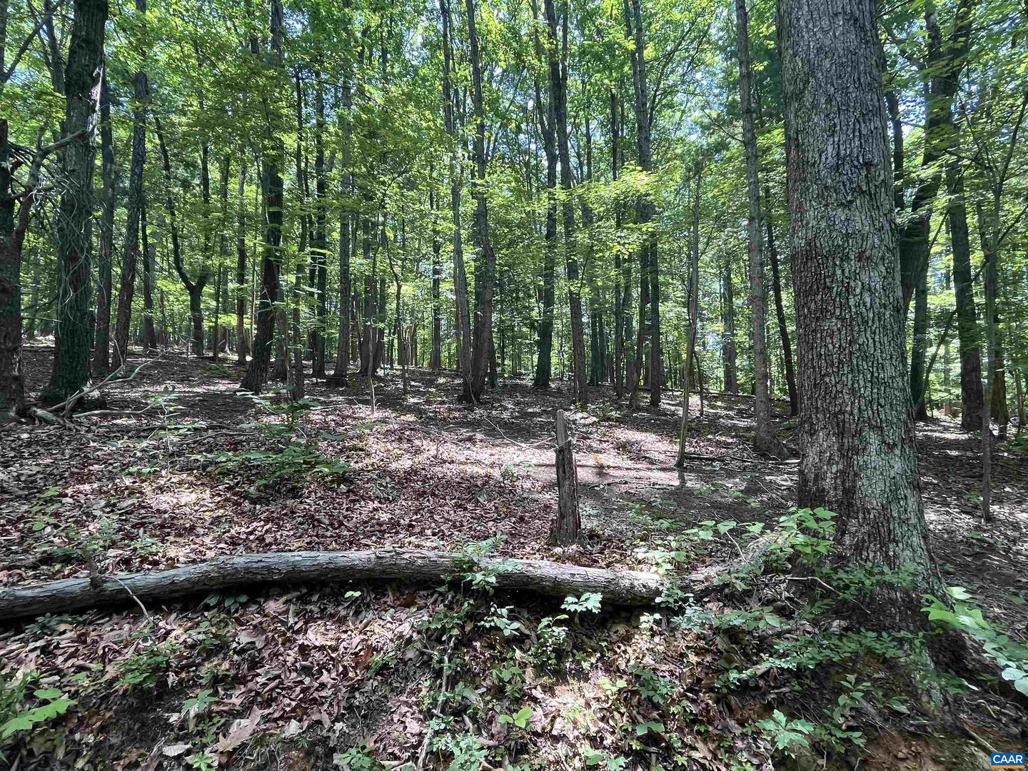 TBD GLASS MOUNTAIN LN, AFTON, Virginia 22920, ,Land,For sale,TBD GLASS MOUNTAIN LN,657519 MLS # 657519