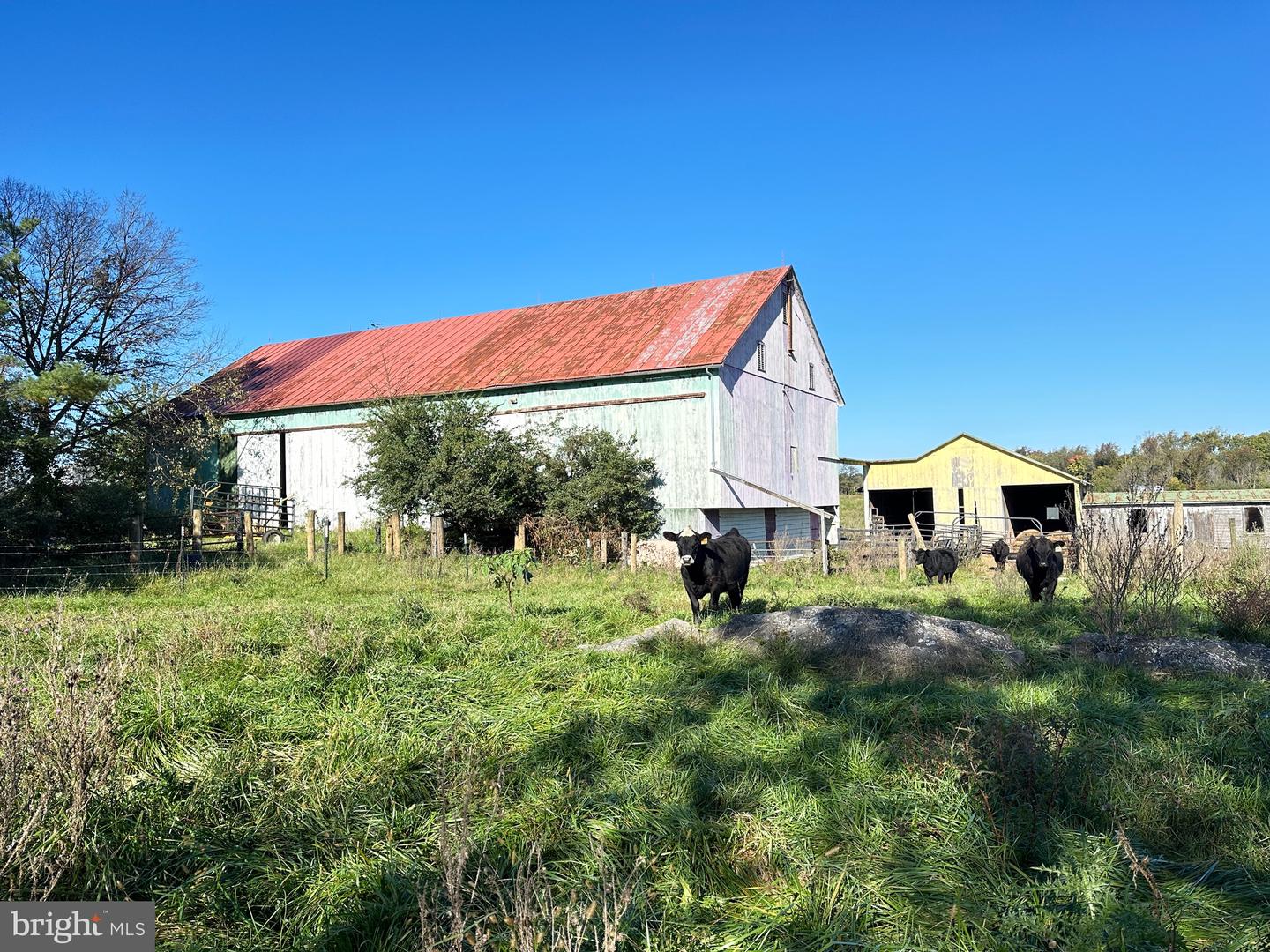 198 PETAL RD, BERRYVILLE, Virginia 22611, 5 Bedrooms Bedrooms, 15 Rooms Rooms,4 BathroomsBathrooms,Farm,For sale,198 PETAL RD,VACL2003102 MLS # VACL2003102