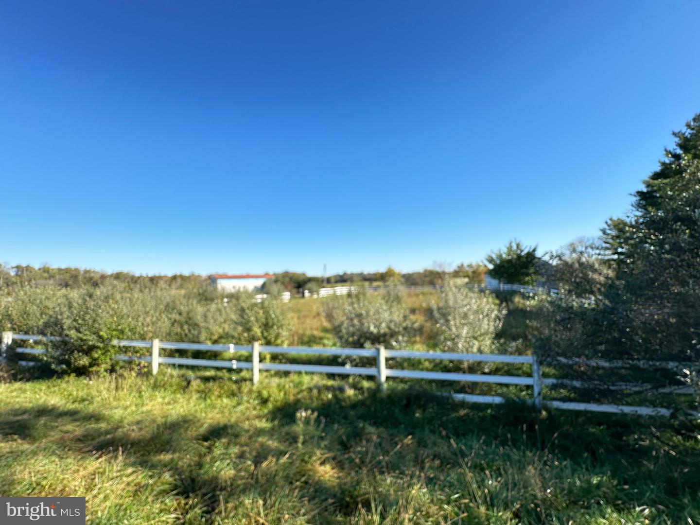 198 PETAL RD, BERRYVILLE, Virginia 22611, 5 Bedrooms Bedrooms, 15 Rooms Rooms,4 BathroomsBathrooms,Farm,For sale,198 PETAL RD,VACL2003102 MLS # VACL2003102