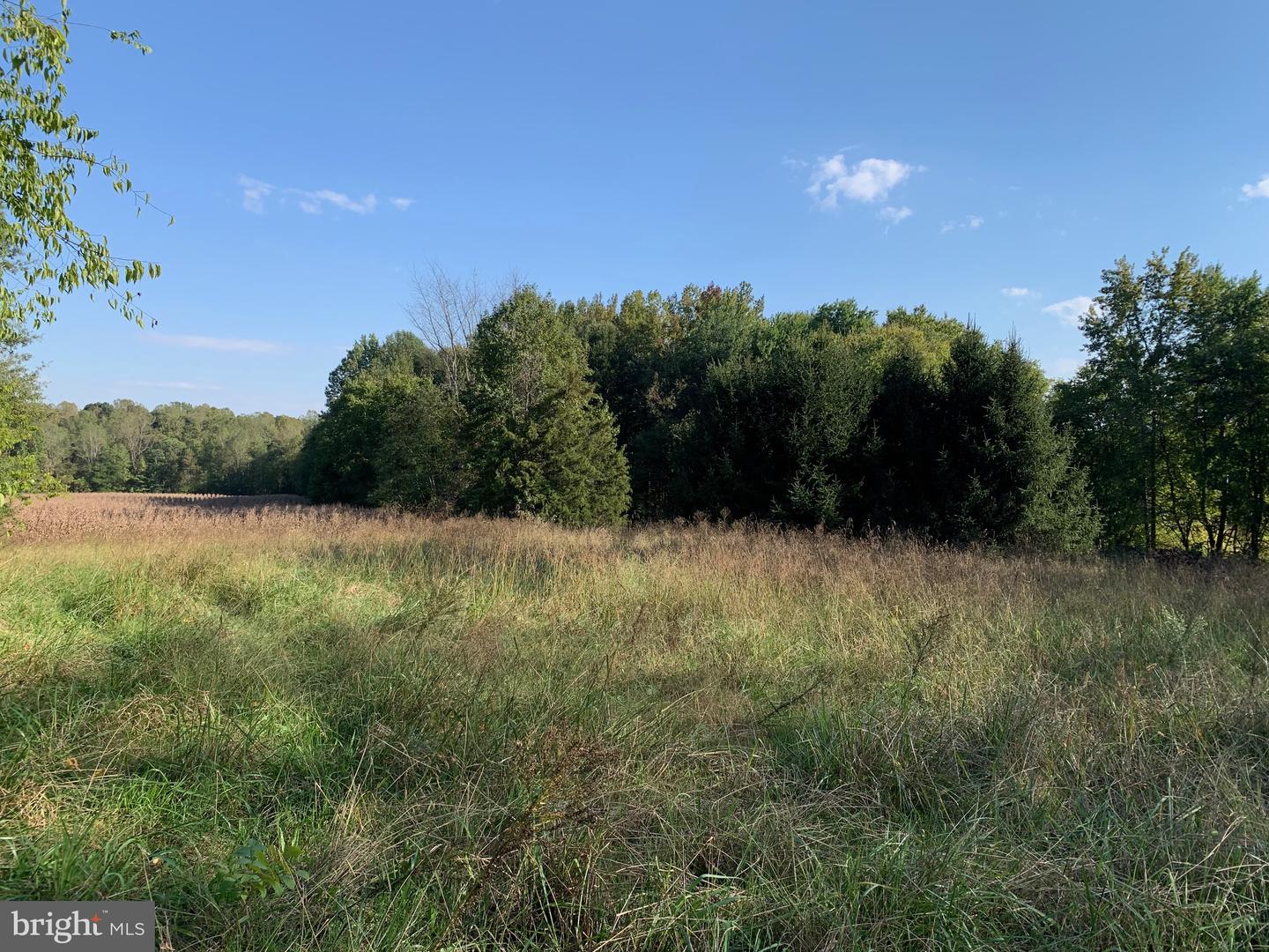 0 POTTIESVILLE RD, BUMPASS, Virginia 23024, ,Land,For sale,0 POTTIESVILLE RD,VALA2006616 MLS # VALA2006616