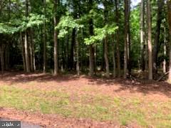 LOT 11 PEACEFUL WAY, EXMORE, Virginia 23350, ,Land,For sale,LOT 11 PEACEFUL WAY,VANH2000010 MLS # VANH2000010