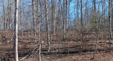 OLD OAK, FRONT ROYAL, Virginia 22630, ,Land,For sale,OLD OAK,VAWR2008728 MLS # VAWR2008728