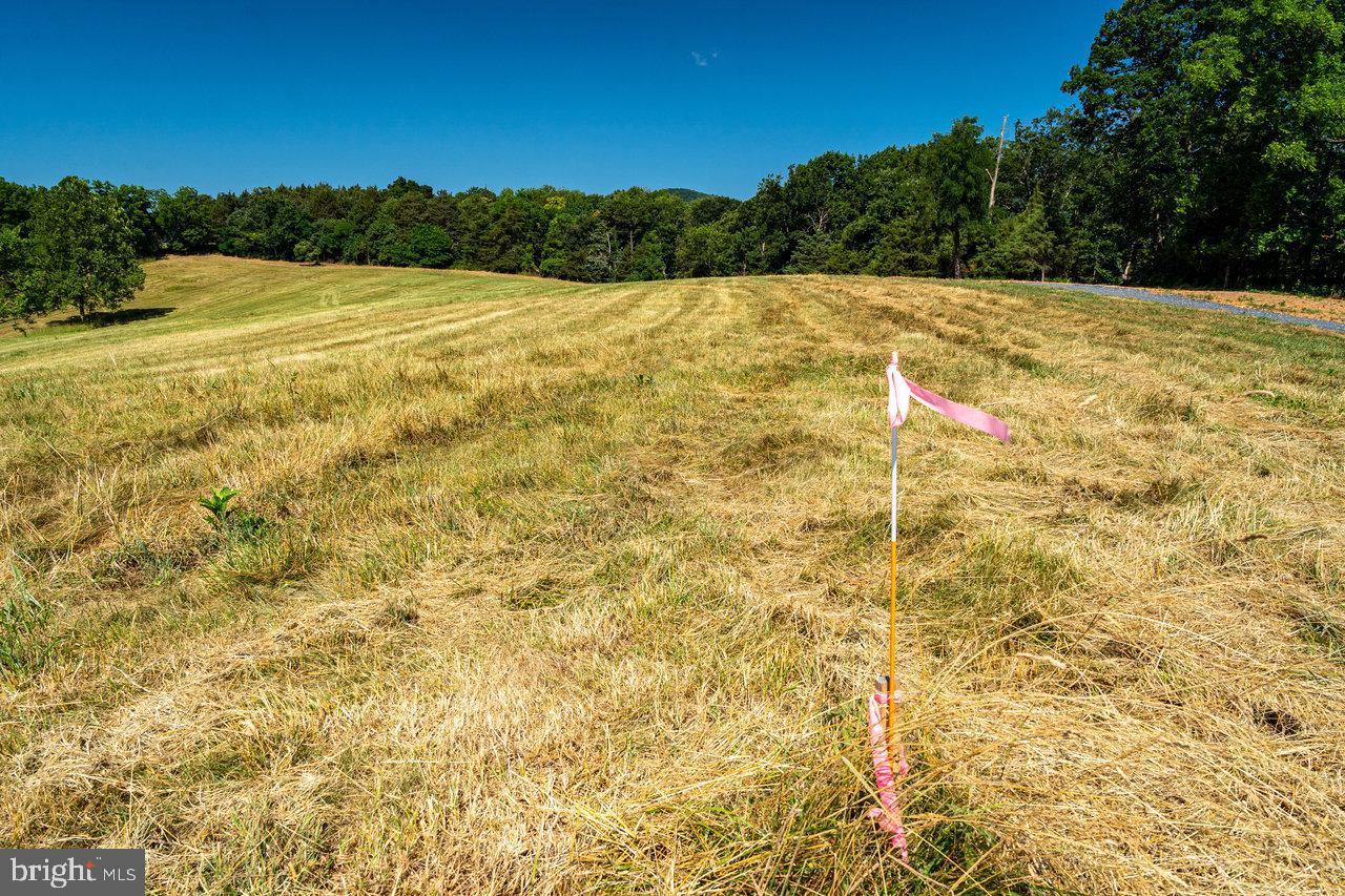 6 SHULER LN, STANLEY, Virginia 22851, ,Land,For sale,6 SHULER LN,VAPA2004086 MLS # VAPA2004086