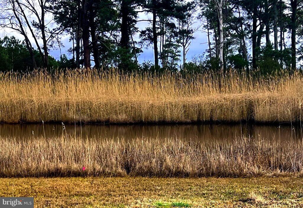 MAIN ST, CHINCOTEAGUE, Virginia 23336, ,Land,For sale,MAIN ST,VAAC2001386 MLS # VAAC2001386