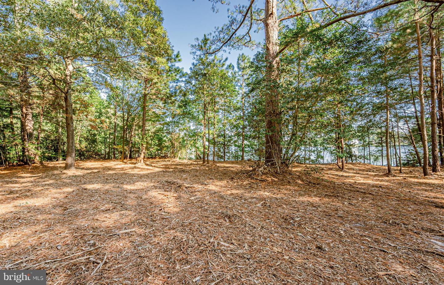 1852 OCRAN RD, WHITE STONE, Virginia 22578, ,Land,For sale,1852 OCRAN RD,VALV2000590 MLS # VALV2000590