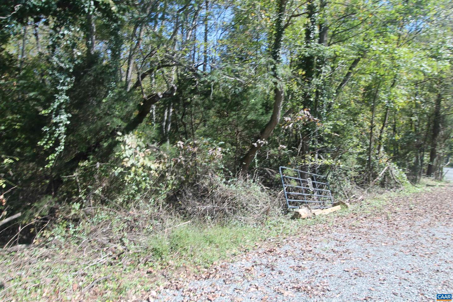 TBD TOCO HL #020B0, NORTH GARDEN, Virginia 22959, ,Land,For sale,TBD TOCO HL #020B0,657629 MLS # 657629