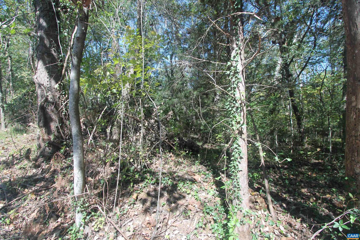 TBD TOCO HL #020B0, NORTH GARDEN, Virginia 22959, ,Land,For sale,TBD TOCO HL #020B0,657629 MLS # 657629