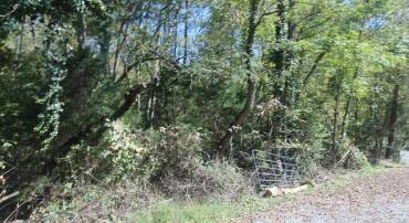 TBD TOCO HL #020B0, NORTH GARDEN, Virginia 22959, ,Land,For sale,TBD TOCO HL #020B0,657629 MLS # 657629