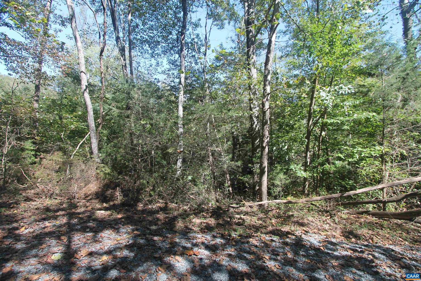 TBD-1 TOCO HL #020B1, NORTH GARDEN, Virginia 22959, ,Land,For sale,TBD-1 TOCO HL #020B1,657633 MLS # 657633