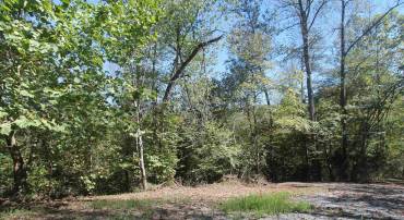 TBD-1 TOCO HL #020B1, NORTH GARDEN, Virginia 22959, ,Land,For sale,TBD-1 TOCO HL #020B1,657633 MLS # 657633