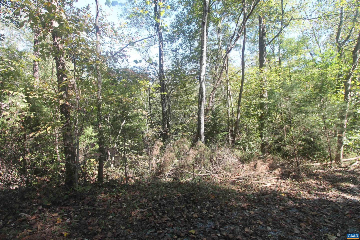 TBD-2 TOCO HL #020B2, NORTH GARDEN, Virginia 22959, ,Land,For sale,TBD-2 TOCO HL #020B2,657636 MLS # 657636