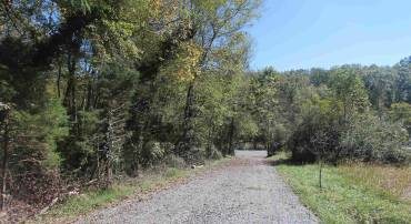 TBD-2 TOCO HL #020B2, NORTH GARDEN, Virginia 22959, ,Land,For sale,TBD-2 TOCO HL #020B2,657636 MLS # 657636