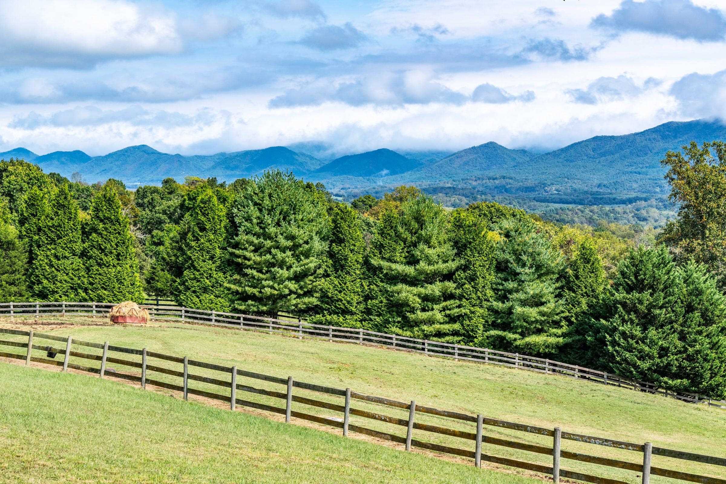 3-board fencing for multiple paddocks encompassing rich pastures.