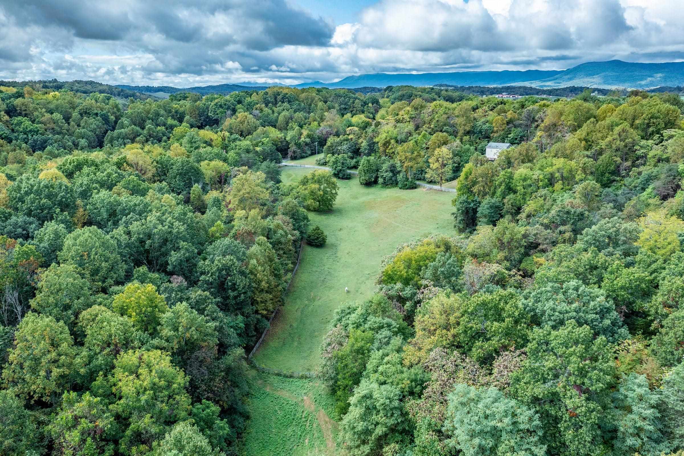 A perfect combination of pastures and forests.