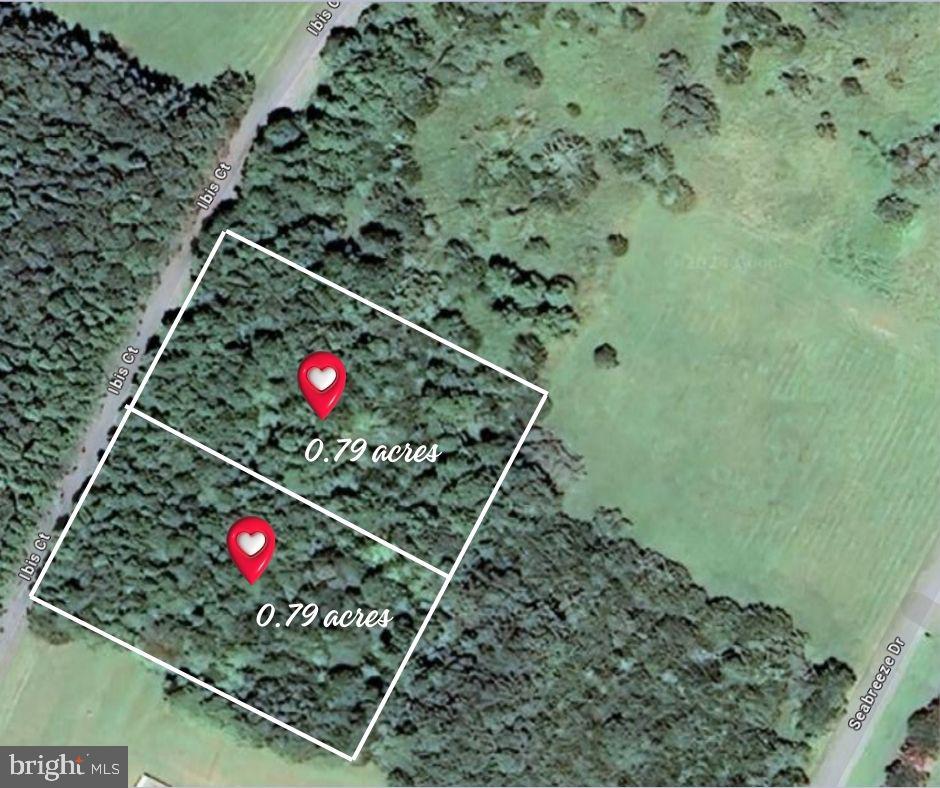 0 IBIS CT, ACCOMAC, Virginia 23301, ,Land,For sale,0 IBIS CT,VAAC2001290 MLS # VAAC2001290