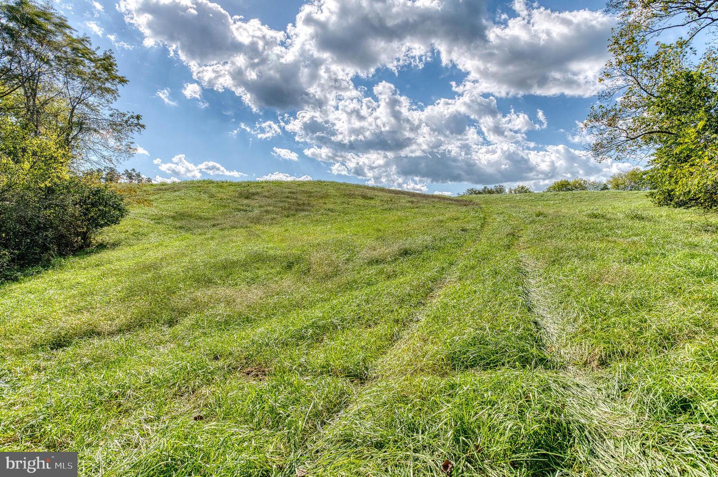 OAK PARK RD, LOCUST DALE, Virginia 22948, ,Land,For sale,OAK PARK RD,VAMA2001906 MLS # VAMA2001906