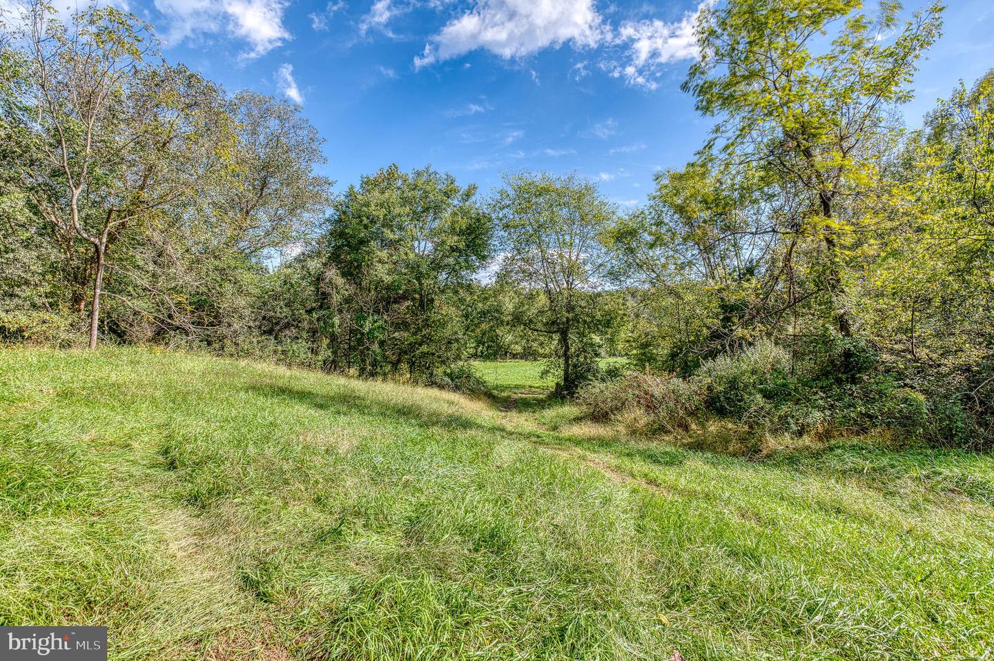 OAK PARK RD, LOCUST DALE, Virginia 22948, ,Land,For sale,OAK PARK RD,VAMA2001906 MLS # VAMA2001906