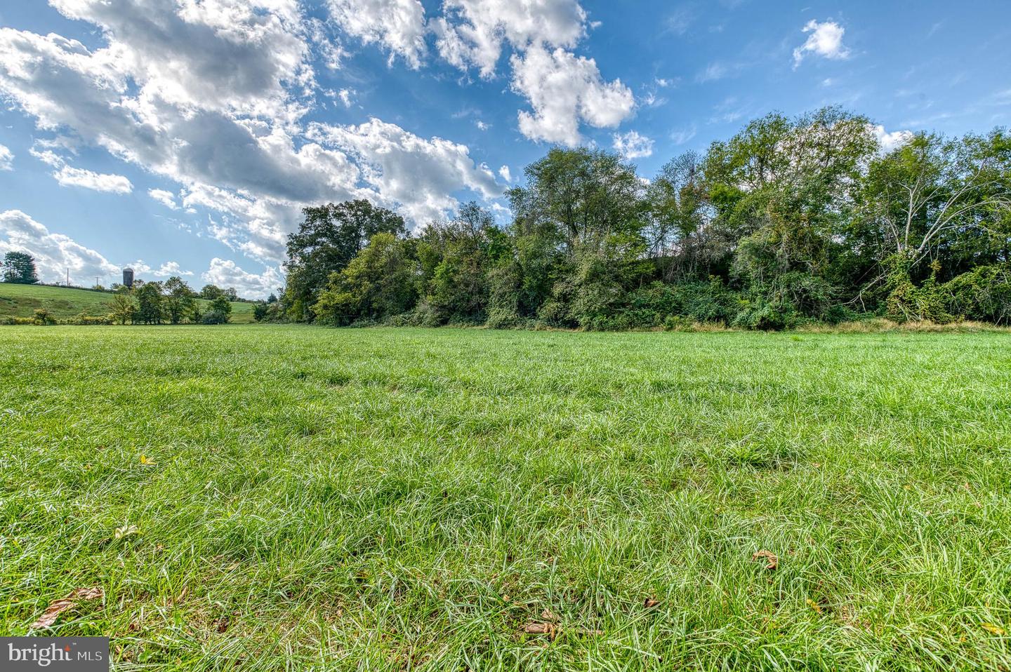 OAK PARK RD, LOCUST DALE, Virginia 22948, ,Land,For sale,OAK PARK RD,VAMA2001906 MLS # VAMA2001906