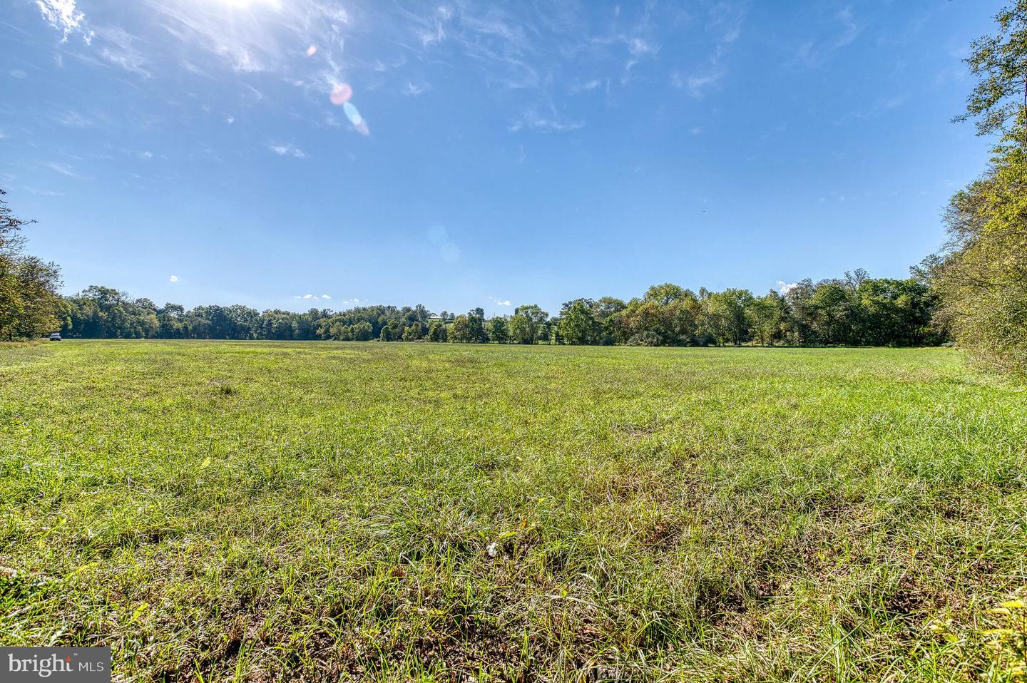 OAK PARK RD, LOCUST DALE, Virginia 22948, ,Land,For sale,OAK PARK RD,VAMA2001906 MLS # VAMA2001906