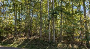 905 EASTOVER PKWY, LOCUST GROVE, Virginia 22508, ,Land,For sale,905 EASTOVER PKWY,VAOR2008156 MLS # VAOR2008156