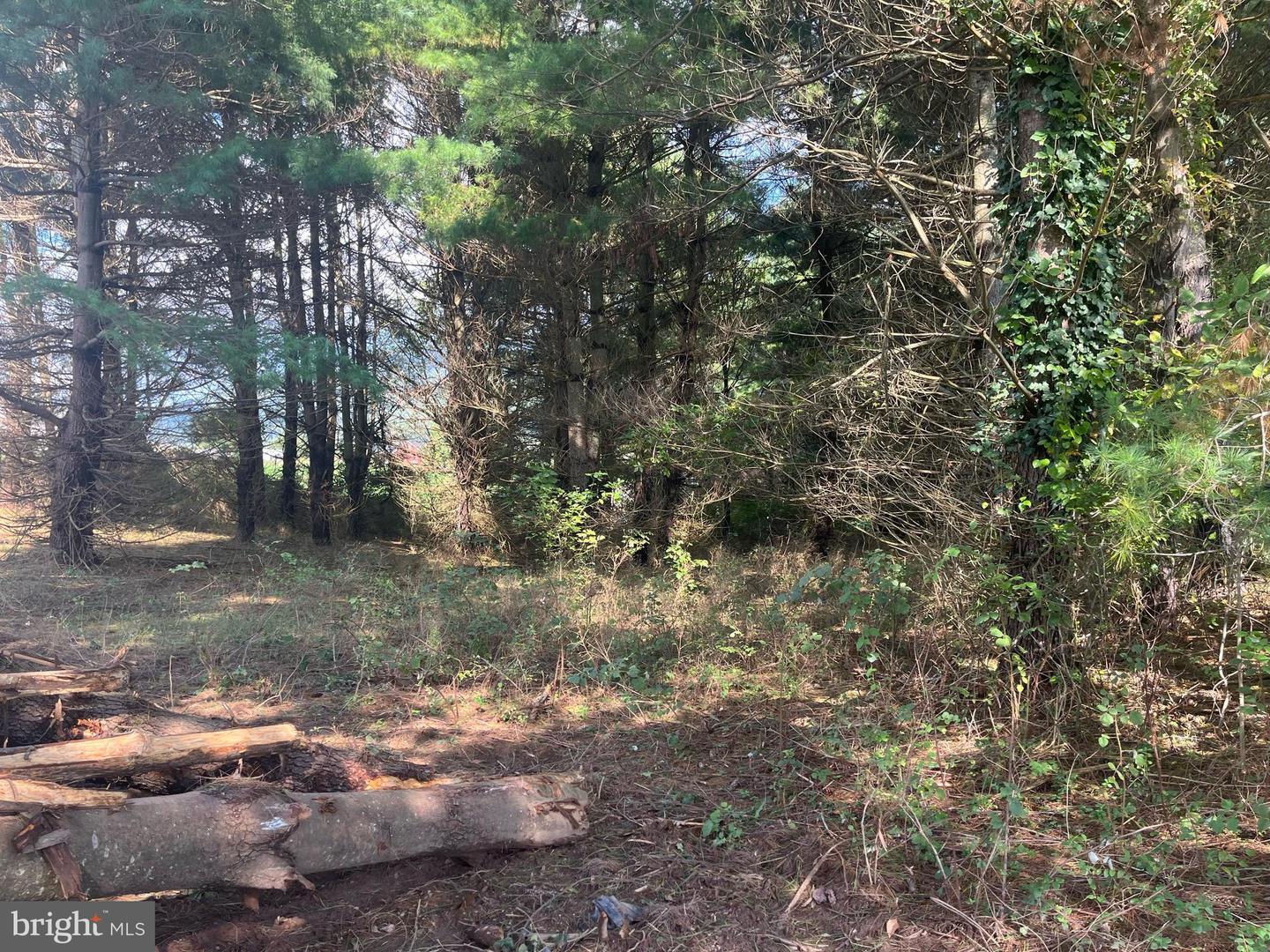 EVERGREEN - LOT 12A CT, BENTONVILLE, Virginia 22610, 3 Bedrooms Bedrooms, ,3 BathroomsBathrooms,Residential,For sale,EVERGREEN - LOT 12A CT,VAWR2009282 MLS # VAWR2009282