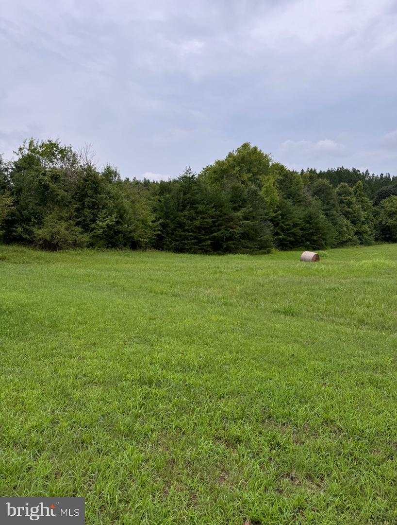 5049 CLOVER RD, CLOVER, Virginia 24534, ,Land,For sale,5049 CLOVER RD,VAHX2000068 MLS # VAHX2000068