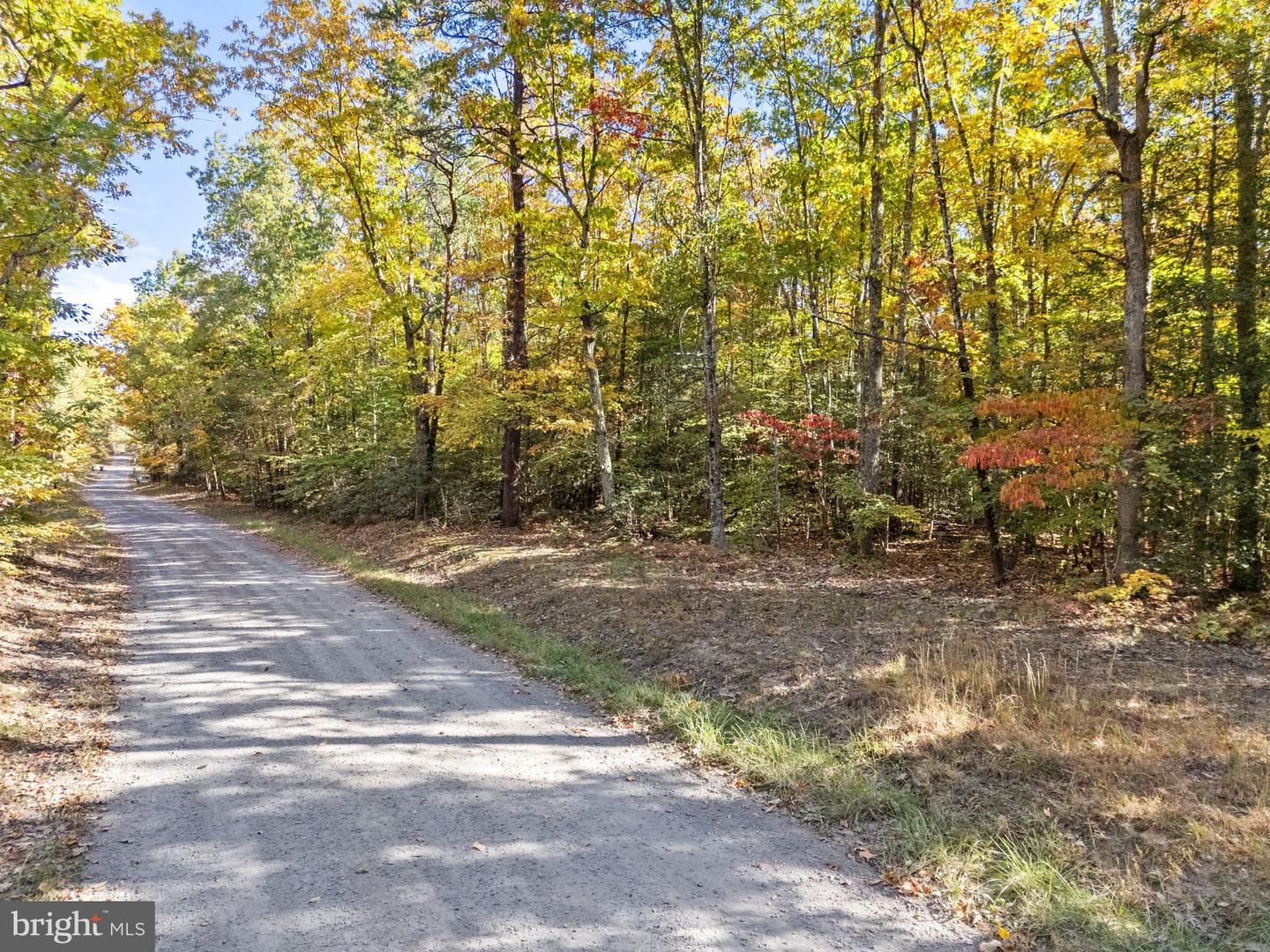 LOT 4 WALKERS LANE, RICHARDSVILLE, Virginia 22736, ,Land,For sale,LOT 4 WALKERS LANE,VACU2009068 MLS # VACU2009068