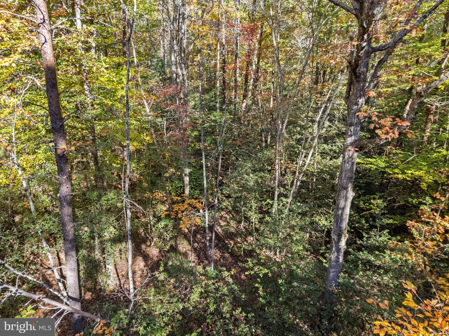 LOT 4 WALKERS LANE, RICHARDSVILLE, Virginia 22736, ,Land,For sale,LOT 4 WALKERS LANE,VACU2009068 MLS # VACU2009068