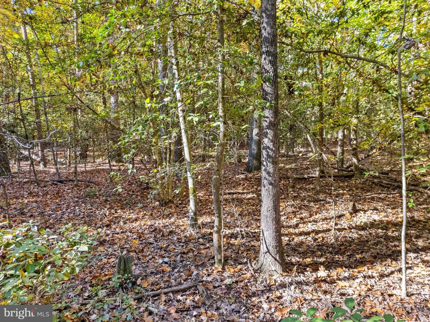 LOT 4 WALKERS LANE, RICHARDSVILLE, Virginia 22736, ,Land,For sale,LOT 4 WALKERS LANE,VACU2009068 MLS # VACU2009068