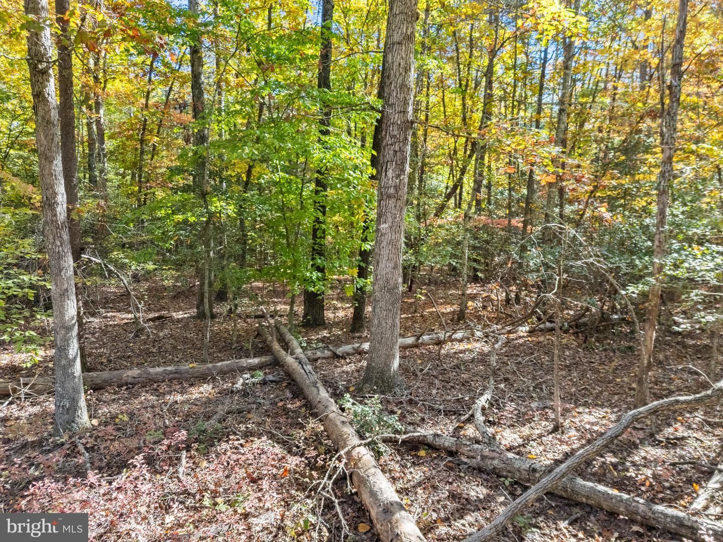 LOT 4 WALKERS LANE, RICHARDSVILLE, Virginia 22736, ,Land,For sale,LOT 4 WALKERS LANE,VACU2009068 MLS # VACU2009068