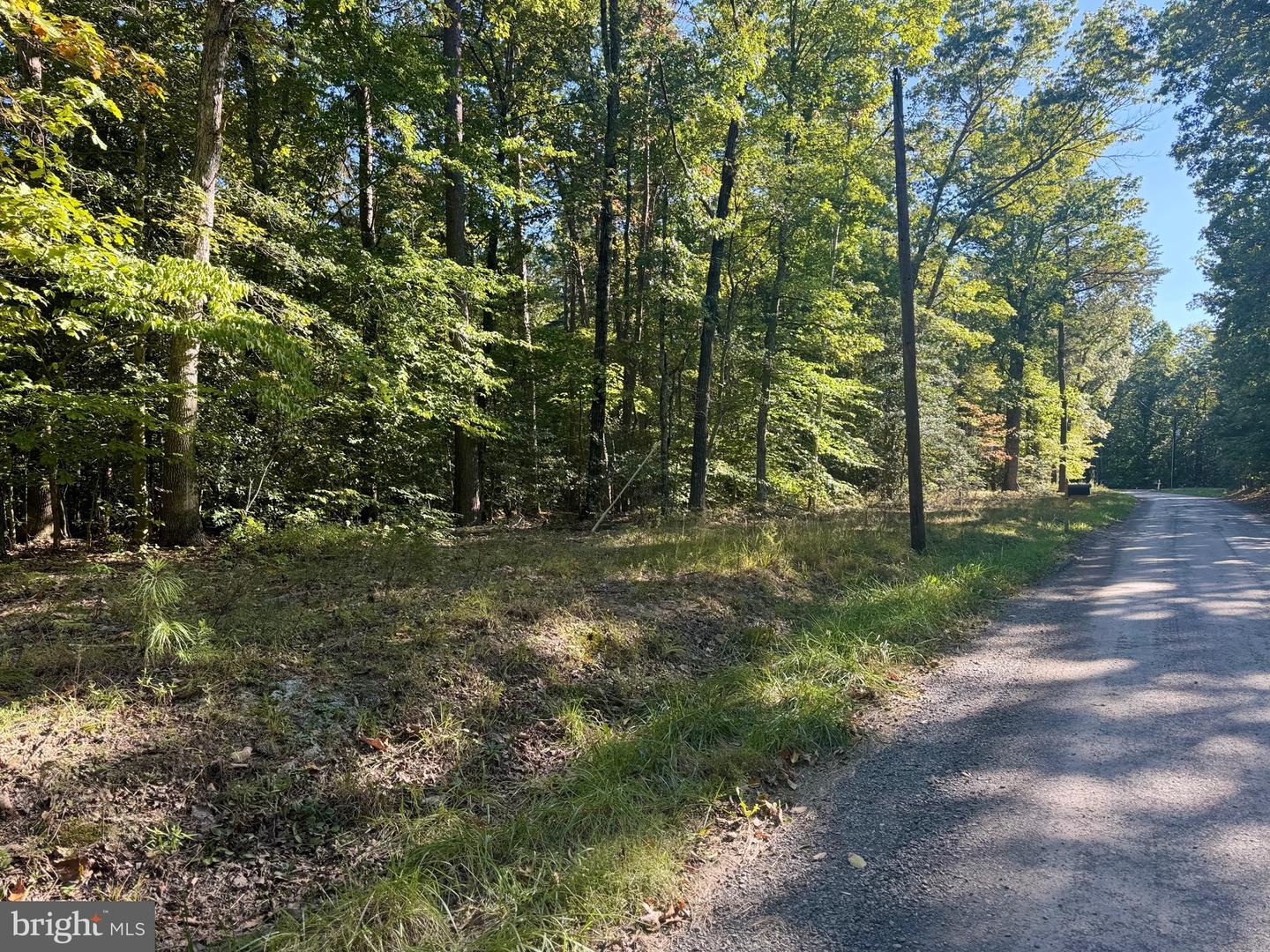 LOT 4 WALKERS LANE, RICHARDSVILLE, Virginia 22736, ,Land,For sale,LOT 4 WALKERS LANE,VACU2009068 MLS # VACU2009068