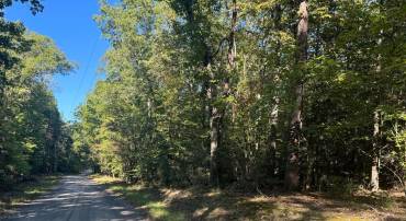 LOT 4 WALKERS LANE, RICHARDSVILLE, Virginia 22736, ,Land,For sale,LOT 4 WALKERS LANE,VACU2009068 MLS # VACU2009068