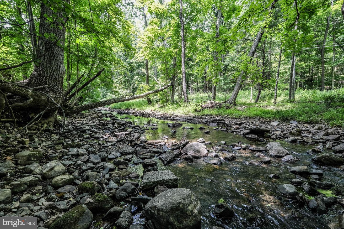 1936 BACK CREEK RD, GORE, Virginia 22637, 3 Bedrooms Bedrooms, ,2 BathroomsBathrooms,Residential,For sale,1936 BACK CREEK RD,VAFV2020002 MLS # VAFV2020002