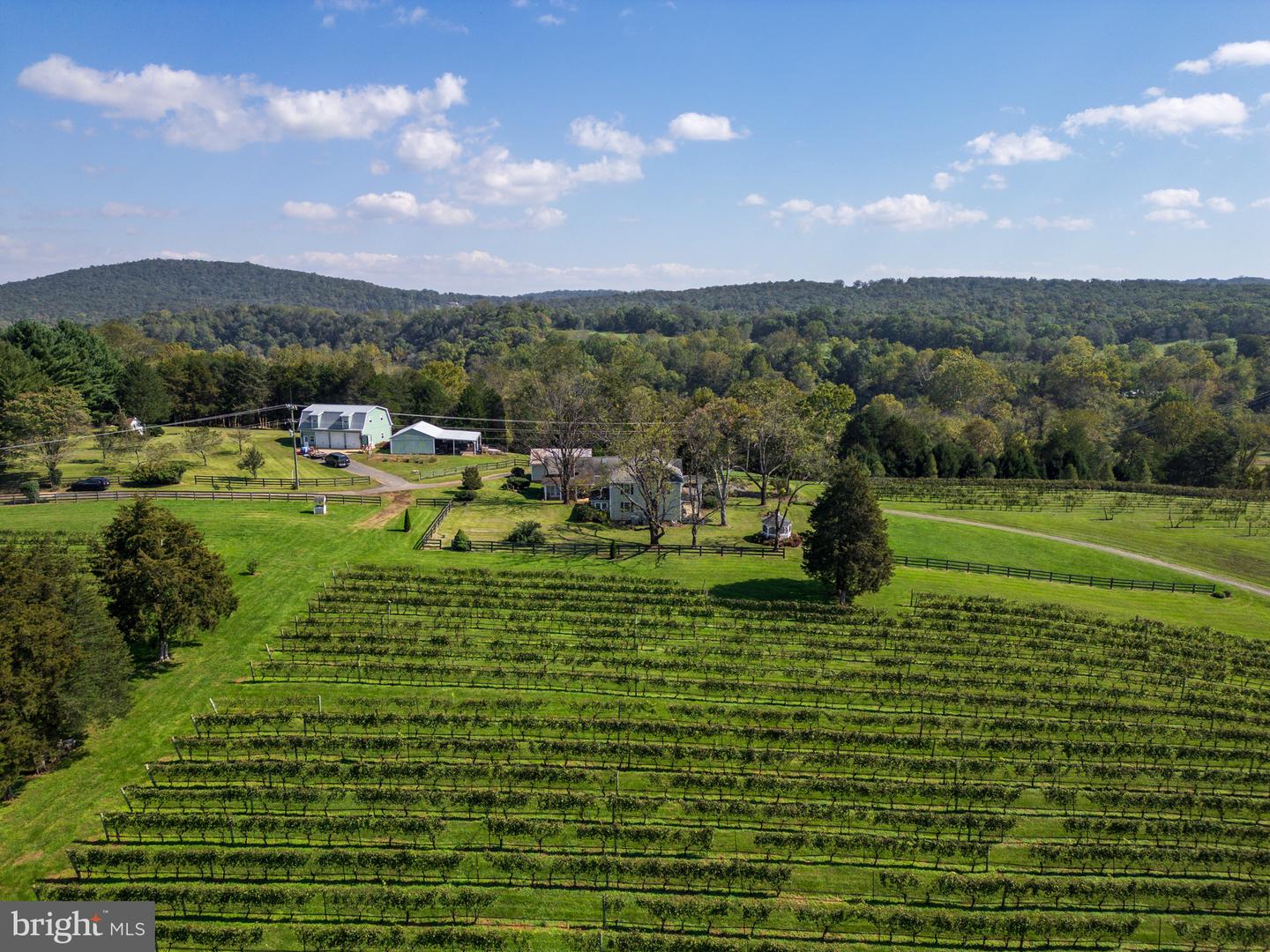 8105 WILLBOYD CT, MARSHALL, Virginia 20115, 4 Bedrooms Bedrooms, ,3 BathroomsBathrooms,Farm,For sale,8105 WILLBOYD CT,VAFQ2014270 MLS # VAFQ2014270