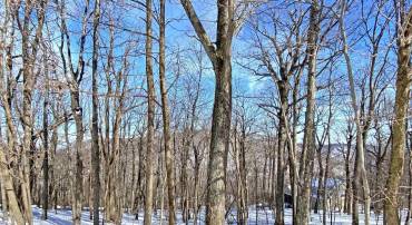 671 SHAMOKIN SPRINGS TRL, WINTERGREEN RESORT, Virginia 22967, ,Land,For sale,671 SHAMOKIN SPRINGS TRL,650261 MLS # 650261