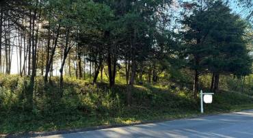 LOT 3 BURNT FACTORY RD, WINCHESTER, Virginia 22603, ,Land,For sale,LOT 3 BURNT FACTORY RD,VAFV2022264 MLS # VAFV2022264