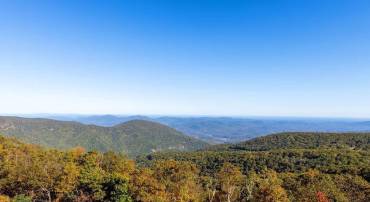 1465 LEDGES CONDOS, WINTERGREEN RESORT, Virginia 22967, 1 Bedroom Bedrooms, ,1 BathroomBathrooms,Residential,For sale,1465 LEDGES CONDOS,657772 MLS # 657772