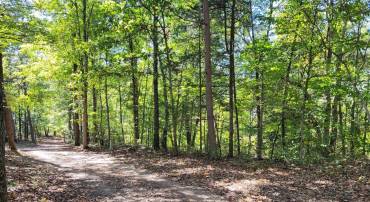 0 TAMARACK CV, RIXEYVILLE, Virginia 22737, ,Land,For sale,0 TAMARACK CV,VACU2009088 MLS # VACU2009088