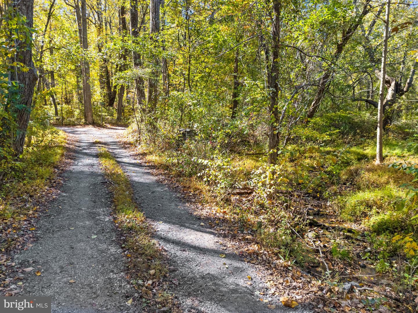 ROCKY LN, HUNTLY, Virginia 22640, ,Land,For sale,ROCKY LN,VARP2001786 MLS # VARP2001786