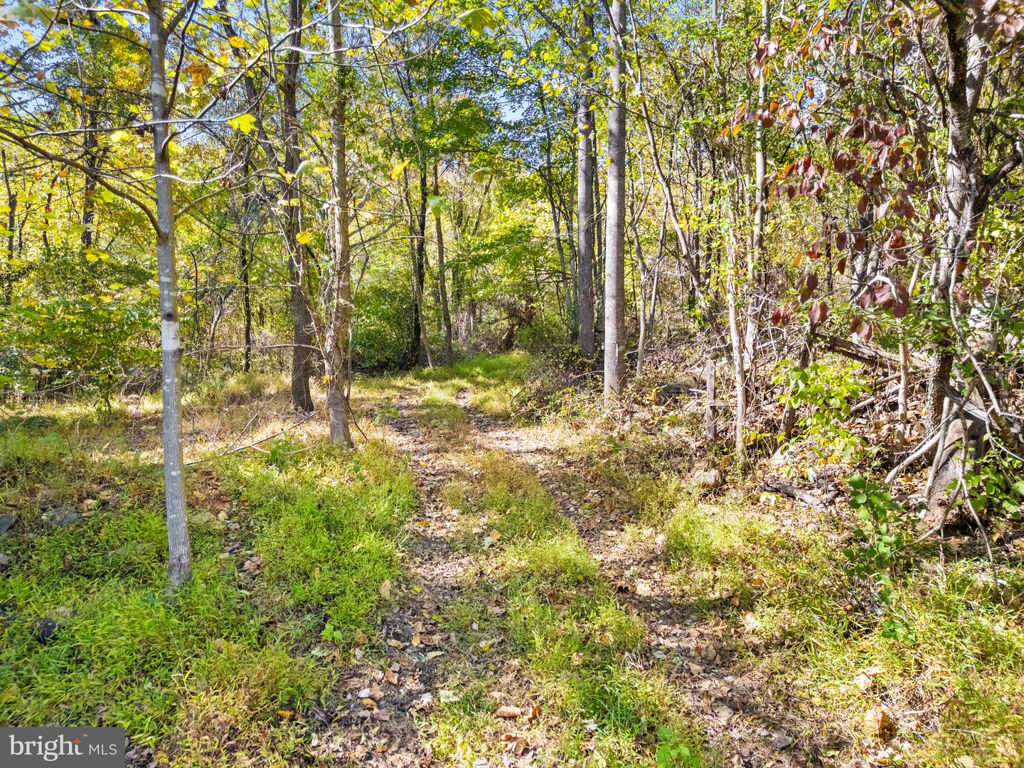 ROCKY LN, HUNTLY, Virginia 22640, ,Land,For sale,ROCKY LN,VARP2001786 MLS # VARP2001786