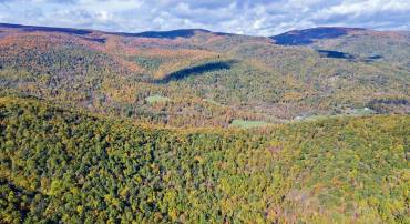 ROCKY LN, HUNTLY, Virginia 22640, ,Land,For sale,ROCKY LN,VARP2001786 MLS # VARP2001786