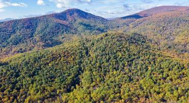 6-D ROCKY LN, HUNTLY, Virginia 22640, ,Land,For sale,6-D ROCKY LN,VARP2001792 MLS # VARP2001792