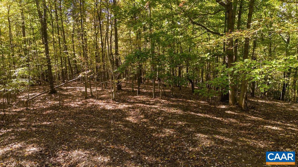 LOT 12 ENNIS MOUNTAIN RD, AFTON, Virginia 22920, ,Land,For sale,LOT 12 ENNIS MOUNTAIN RD,657845 MLS # 657845