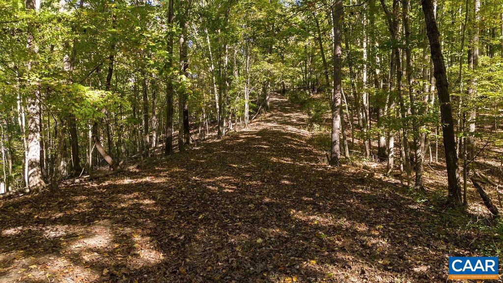 LOT 12 ENNIS MOUNTAIN RD, AFTON, Virginia 22920, ,Land,For sale,LOT 12 ENNIS MOUNTAIN RD,657845 MLS # 657845