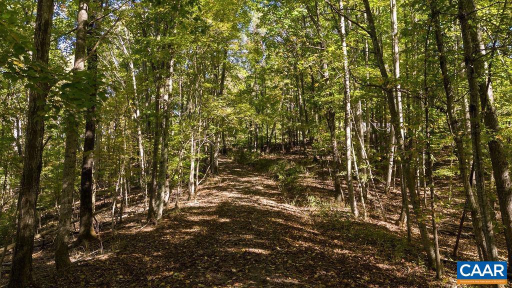 LOT 12 ENNIS MOUNTAIN RD, AFTON, Virginia 22920, ,Land,For sale,LOT 12 ENNIS MOUNTAIN RD,657845 MLS # 657845