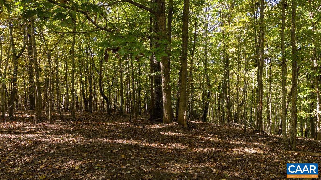 LOT 12 ENNIS MOUNTAIN RD, AFTON, Virginia 22920, ,Land,For sale,LOT 12 ENNIS MOUNTAIN RD,657845 MLS # 657845